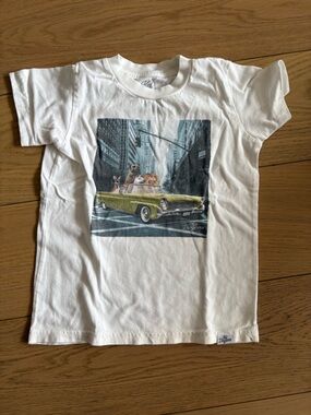 Kids Dangerous graphic tshirt - size 5